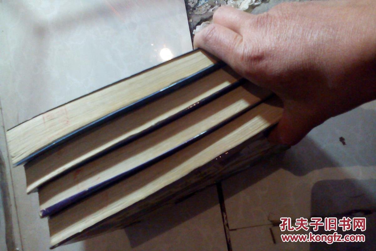 飞翔篮球梦的介绍