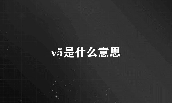 v5是什么意思