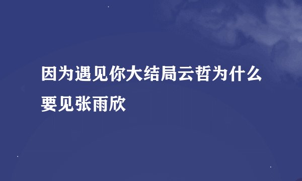 因为遇见你大结局云哲为什么要见张雨欣