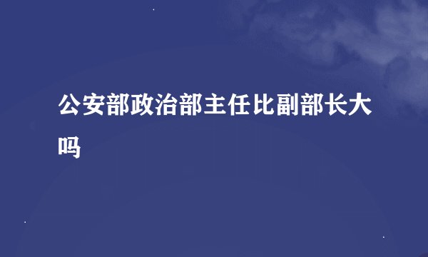 公安部政治部主任比副部长大吗