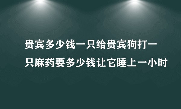 贵宾多少钱一只给贵宾狗打一只麻药要多少钱让它睡上一小时