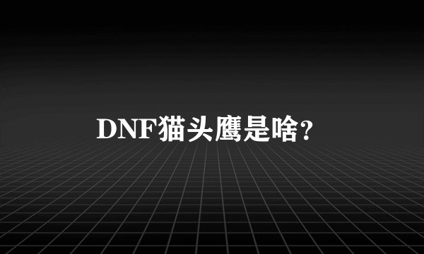 DNF猫头鹰是啥？
