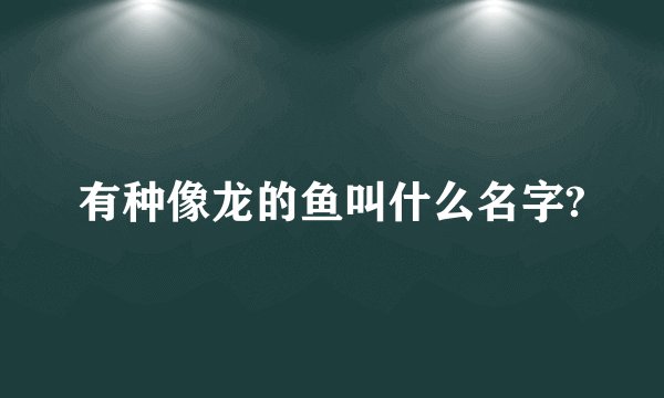 有种像龙的鱼叫什么名字?