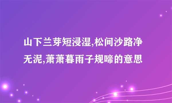山下兰芽短浸湿,松间沙路净无泥,萧萧暮雨子规啼的意思