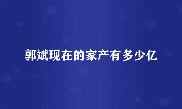 郭斌现在的家产有多少亿