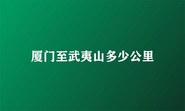 厦门至武夷山多少公里
