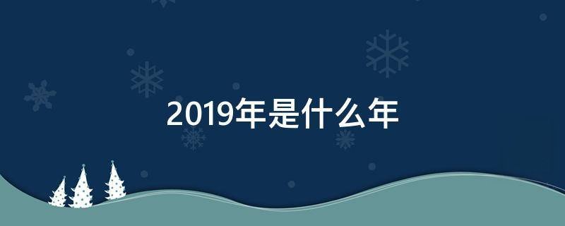 2019年是什么年