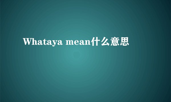 Whataya mean什么意思