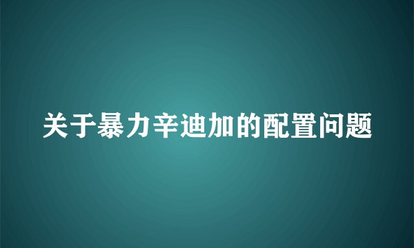 关于暴力辛迪加的配置问题