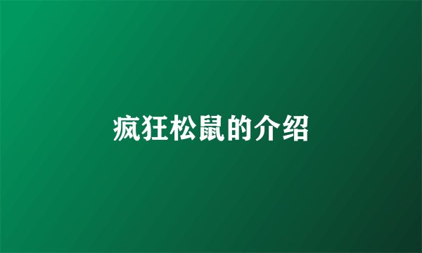 疯狂松鼠的介绍