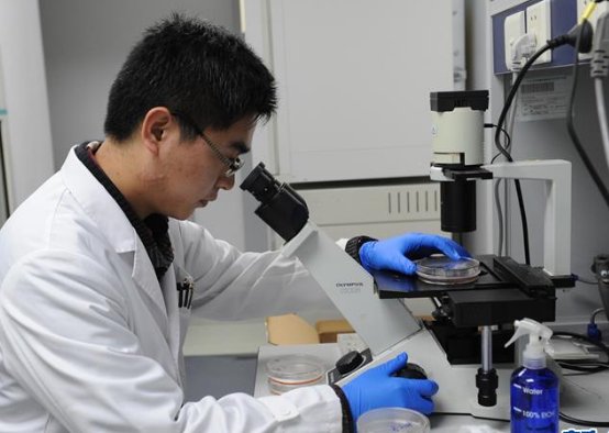 一专多能是什么意思