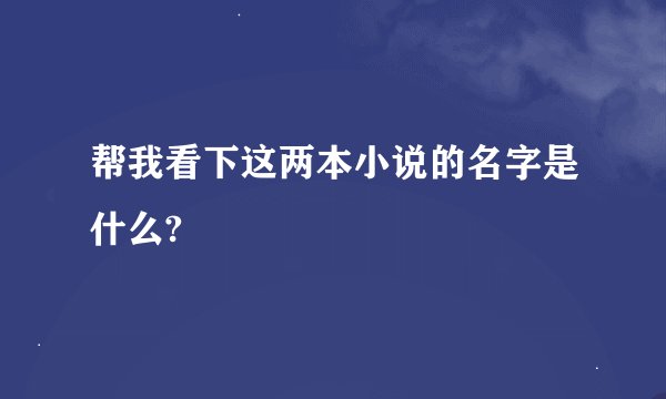 帮我看下这两本小说的名字是什么?
