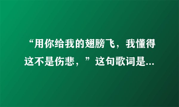 “用你给我的翅膀飞，我懂得这不是伤悲，”这句歌词是那首歌了的？歌名叫啥？
