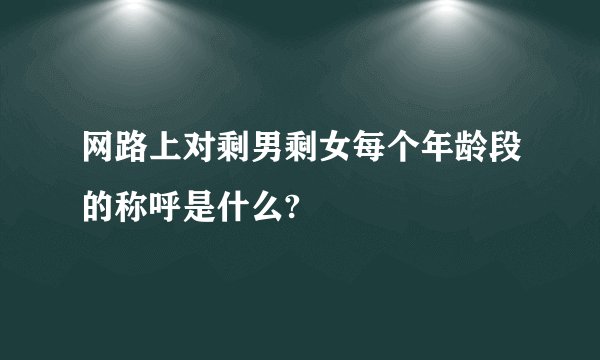 网路上对剩男剩女每个年龄段的称呼是什么?