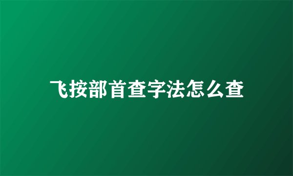 飞按部首查字法怎么查