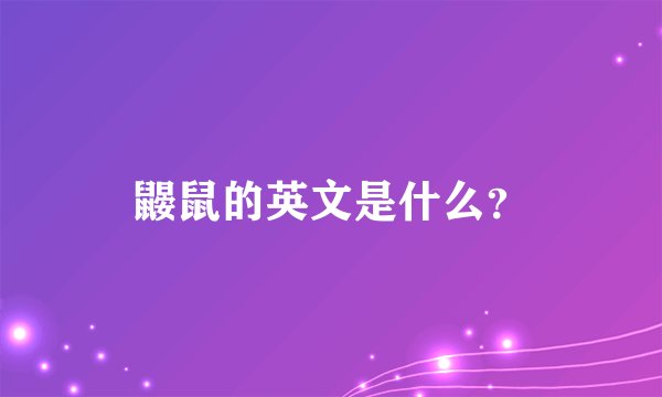 鼹鼠的英文是什么？