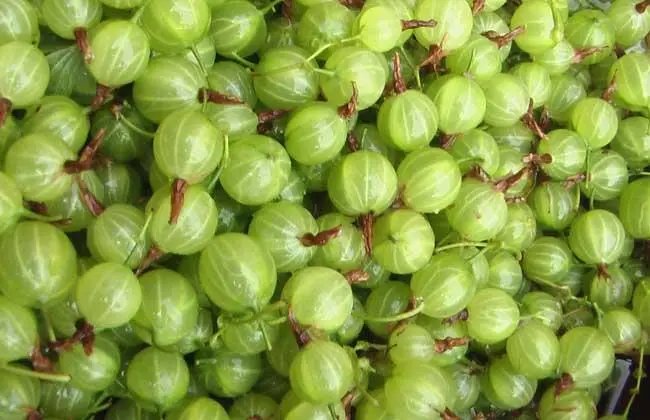 花姑娘什么意思