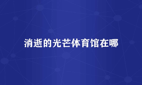 消逝的光芒体育馆在哪