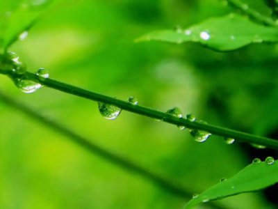 忘掉他不想回家粤语歌什么名