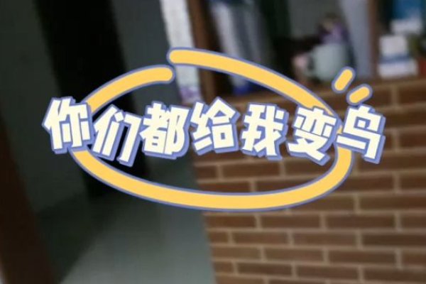 你们都给我变鸟是什么意思
