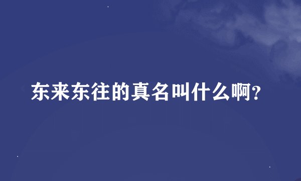 东来东往的真名叫什么啊？