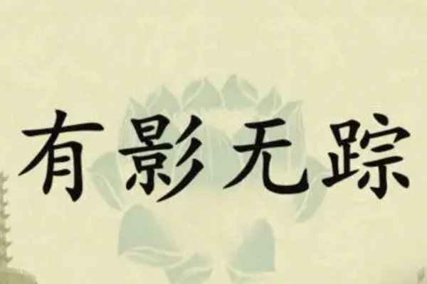 有影无踪指什么意思