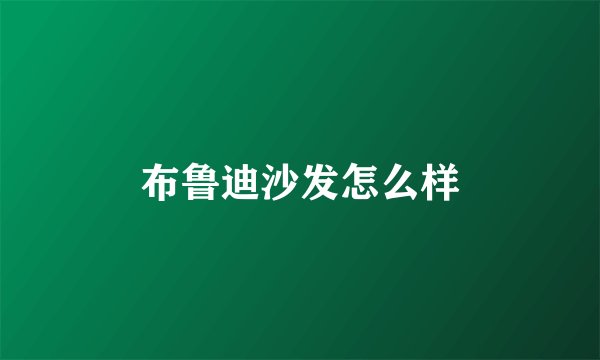 布鲁迪沙发怎么样