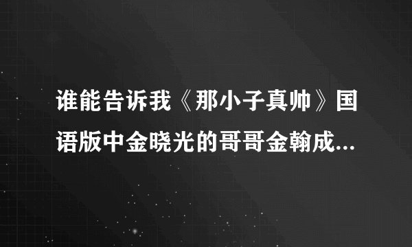 谁能告诉我《那小子真帅》国语版中金晓光的哥哥金翰成是谁演的啊 谢啦
