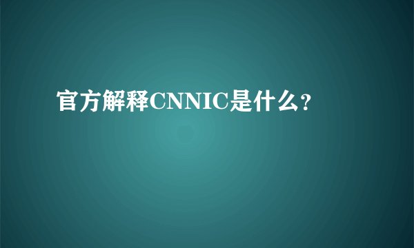 官方解释CNNIC是什么？