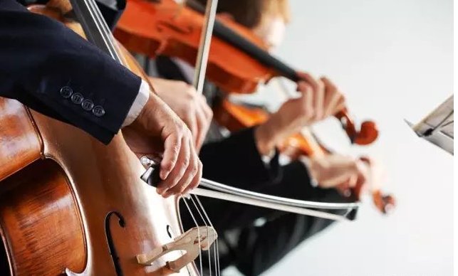 请问小提琴、中提琴、大提琴的区别何在?