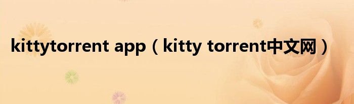 torrentkitty打不开怎么办？