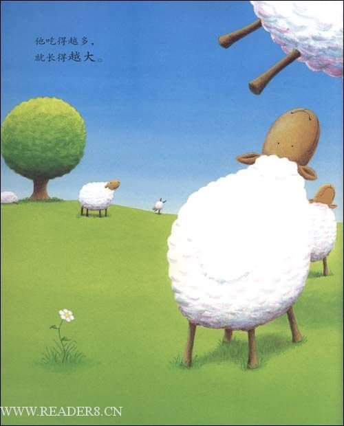 绵羊座的相信小精灵的孩子