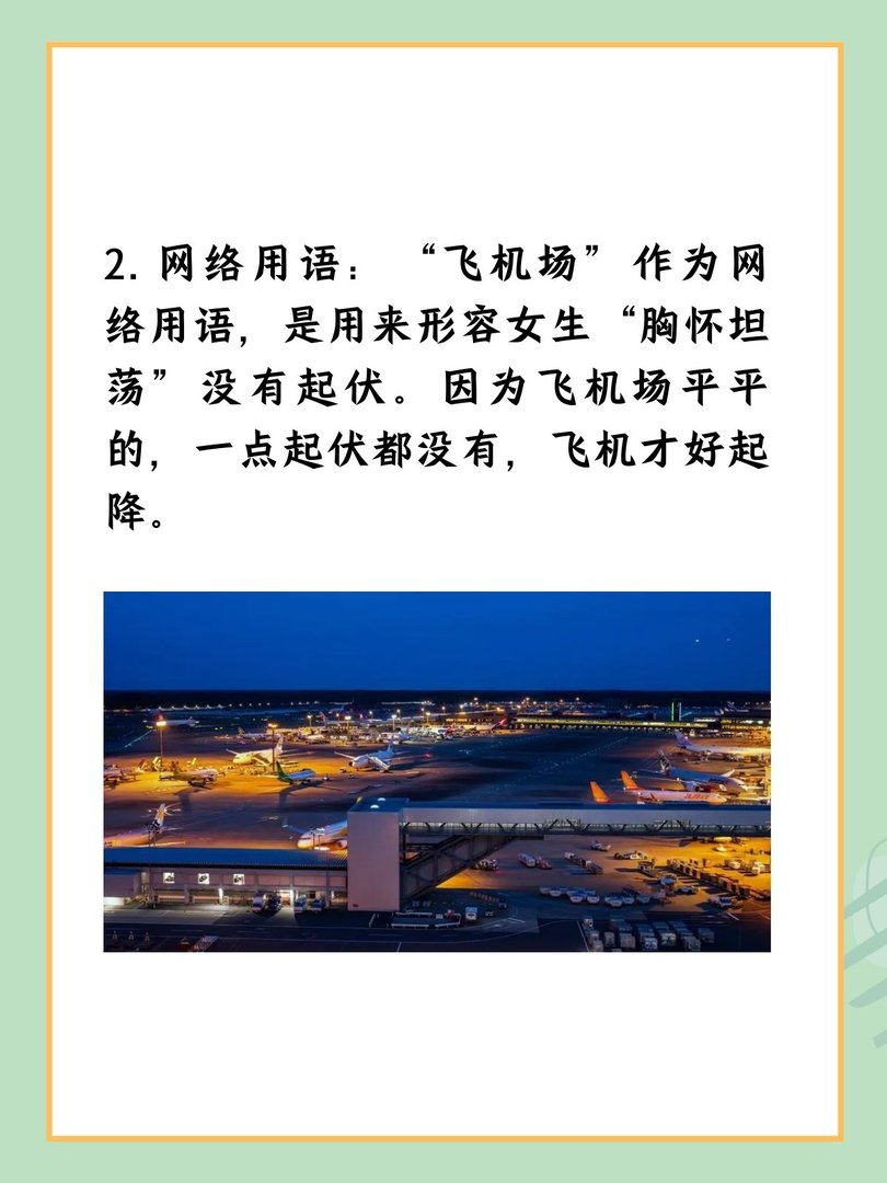 飞机场是什么意思