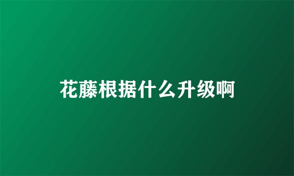 花藤根据什么升级啊