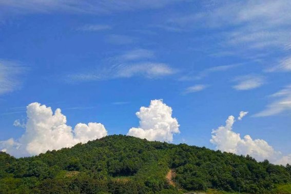 好美是什么意思