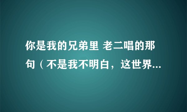 你是我的兄弟里 老二唱的那句（不是我不明白，这世界变化快）是什么歌呀