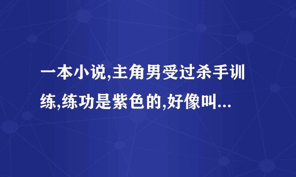 一本小说,主角男受过杀手训练,练功是紫色的,好像叫兰若云不确定,最后一起抵抗外族入侵,比较早07年的