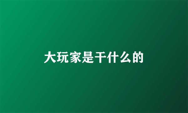 大玩家是干什么的