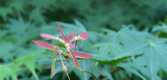 电脑开机显示ctrl alt del怎么办？