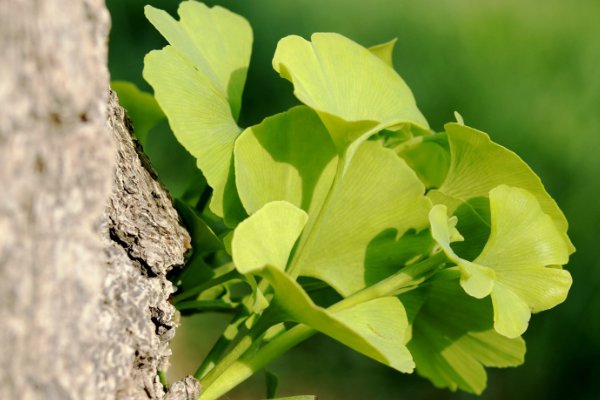 生气的意思是什么