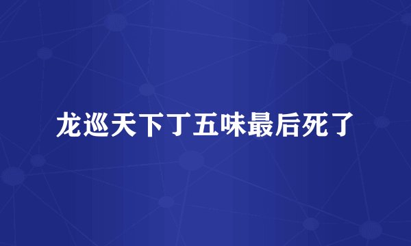 龙巡天下丁五味最后死了