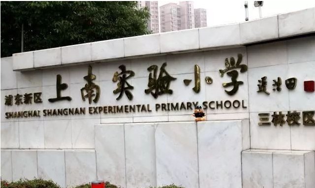 上南实验小学三林分校是不是公办重点小学