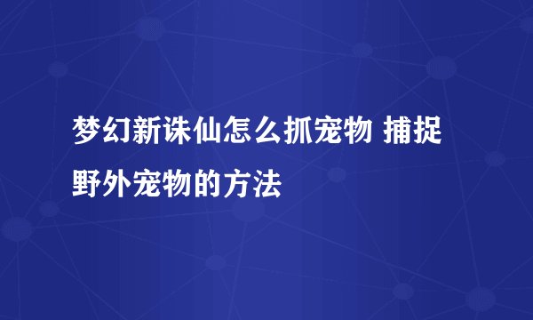 梦幻新诛仙怎么抓宠物 捕捉野外宠物的方法