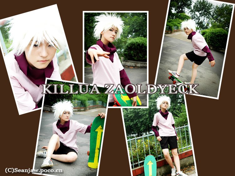 奇牙与维拉的情史的内容介绍