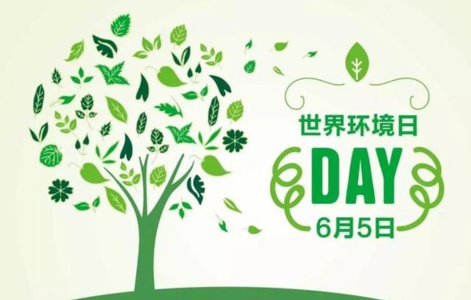 环保日是哪一日呢?