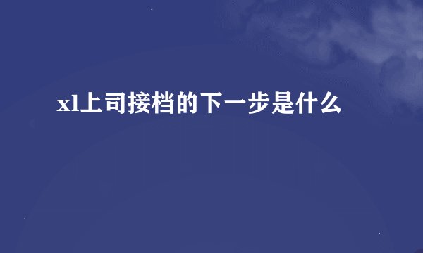 xl上司接档的下一步是什么