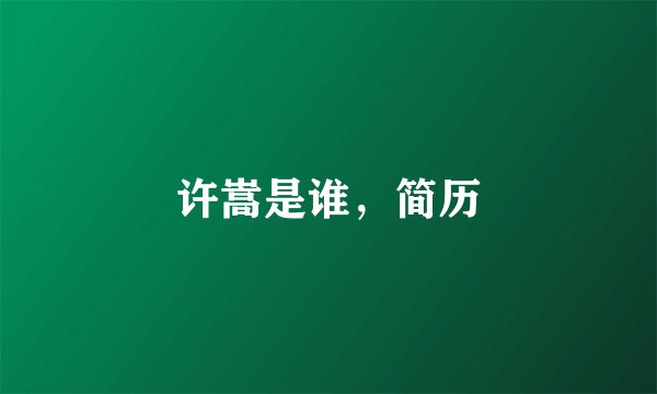 许嵩是谁，简历