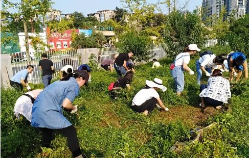 劳动是人类的本质活动,劳动光荣是什么时候说的