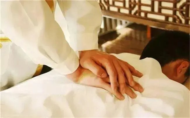 蚂蚁上树是什么服务啊