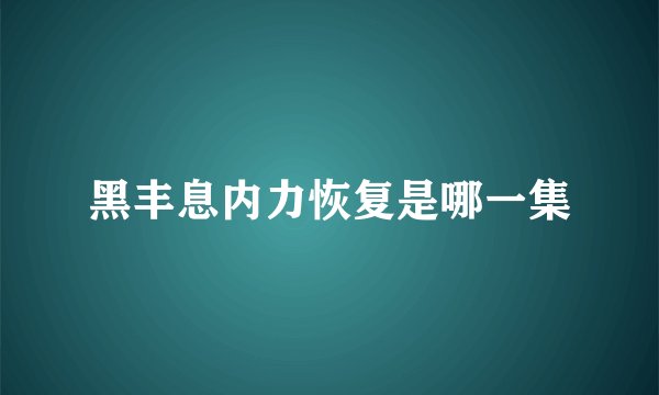 黑丰息内力恢复是哪一集